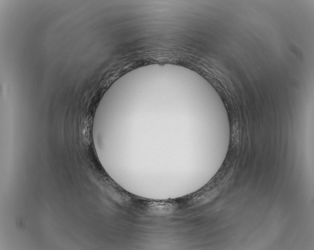 X0000112430234200908141118