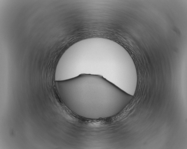X0000112430235200908141118