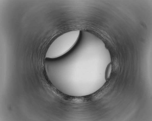 X0000112430236200908141118
