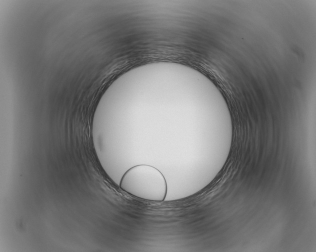 X0000112430237200908141118