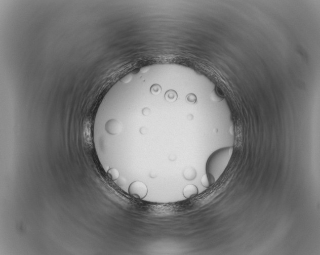 X0000112430238200908141118