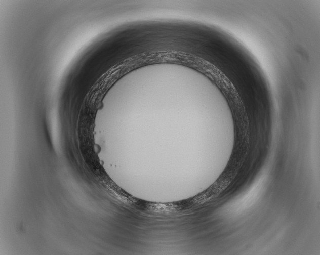 X0000112430239200908141118