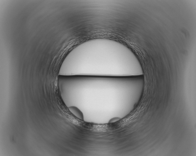 X0000112430240200908141118