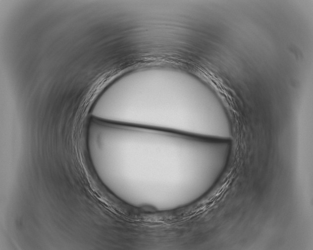 X0000112430241200908141118