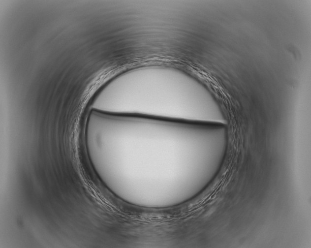 X0000112430242200908141118