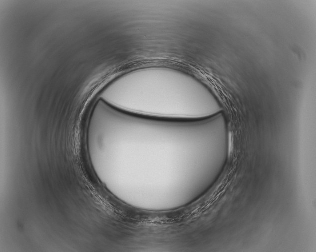X0000112430243200908141118