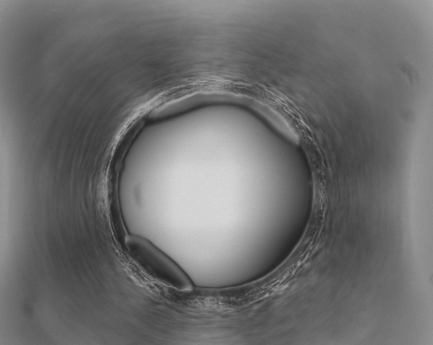 X0000112430244200908141118