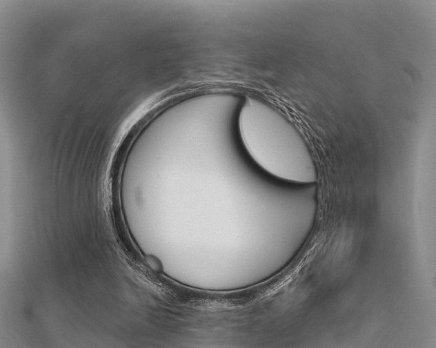 X0000112430246200908141118