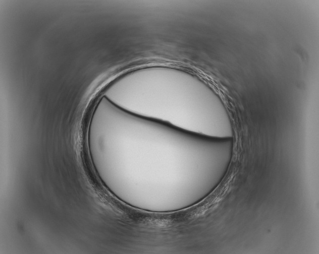 X0000112430247200908141118
