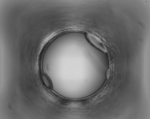 X0000112430248200908141118