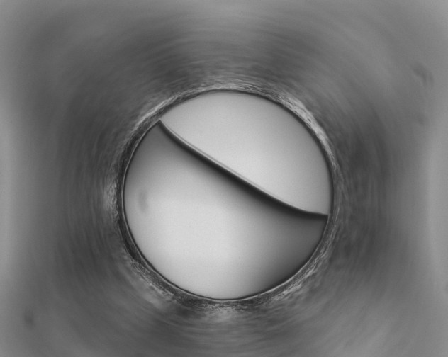 X0000112430249200908141118