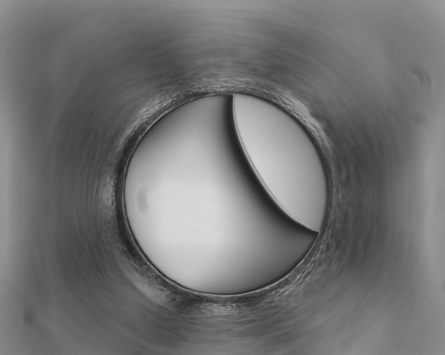 X0000112430250200908141118