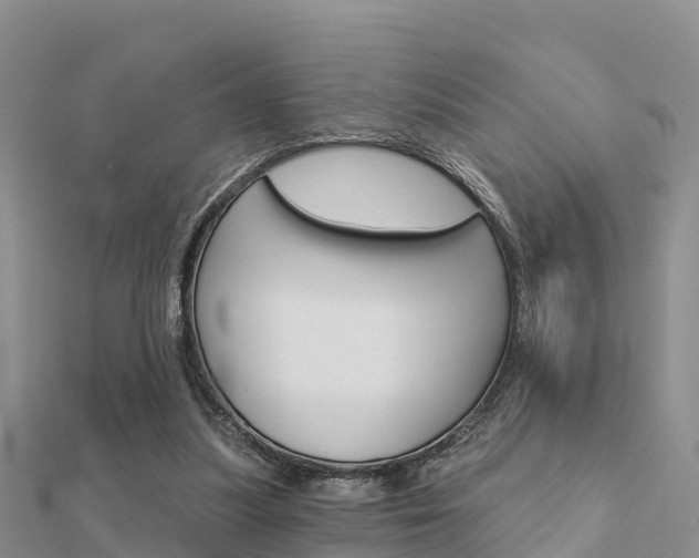 X0000112430251200908141118