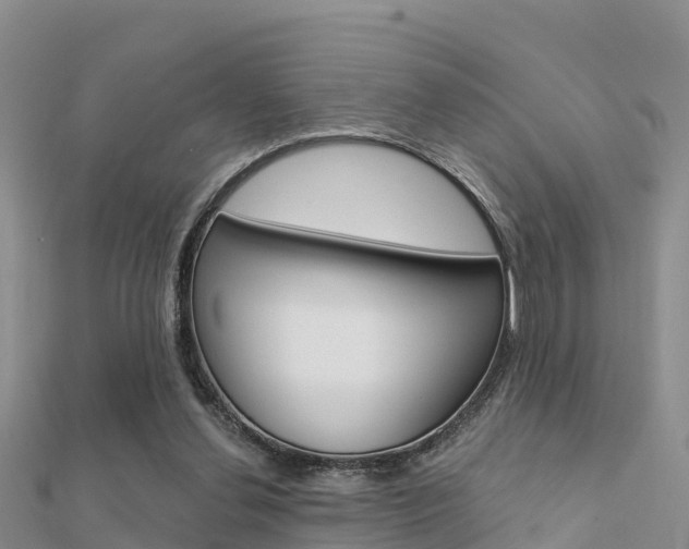 X0000112430252200908141118