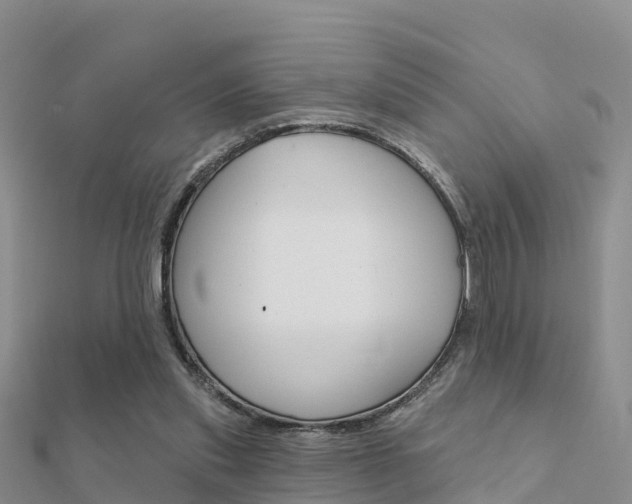 X0000112430253200908141118