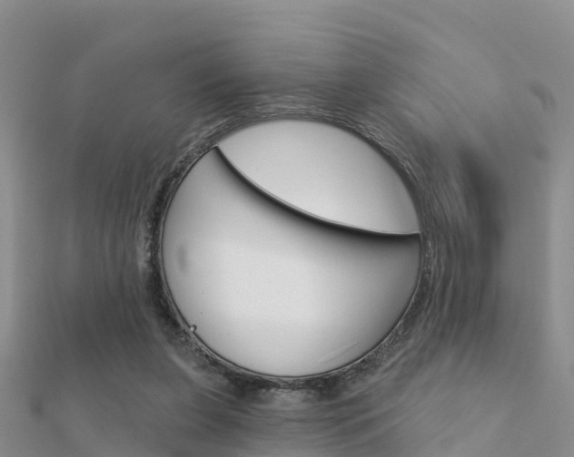 X0000112430255200908141118