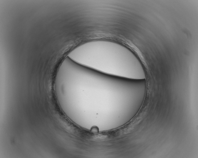 X0000112430257200908141118