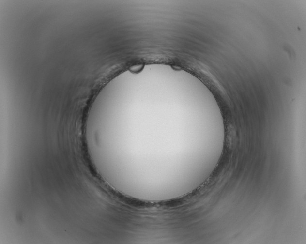 X0000112430259200908141118