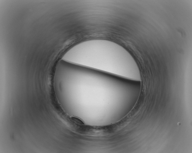 X0000112430260200908141118