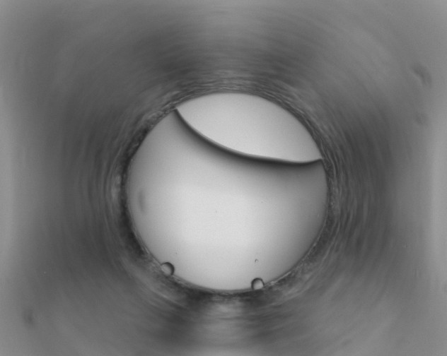 X0000112430263200908141118