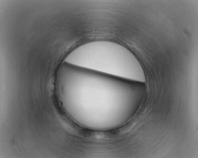X0000112430264200908141118