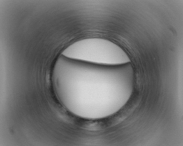 X0000112430267200908141118