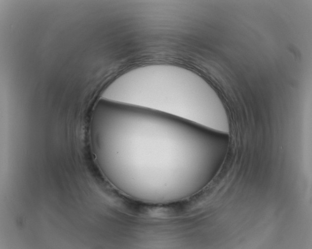 X0000112430268200908141118