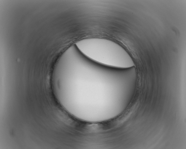 X0000112430269200908141118
