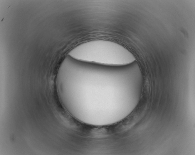 X0000112430271200908141118
