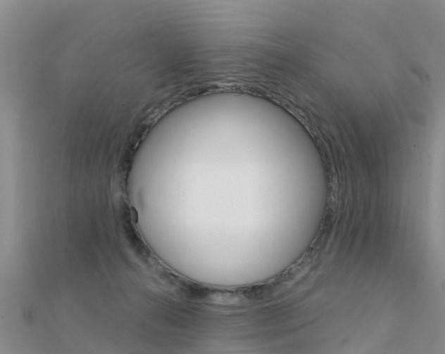 X0000112430272200908141118