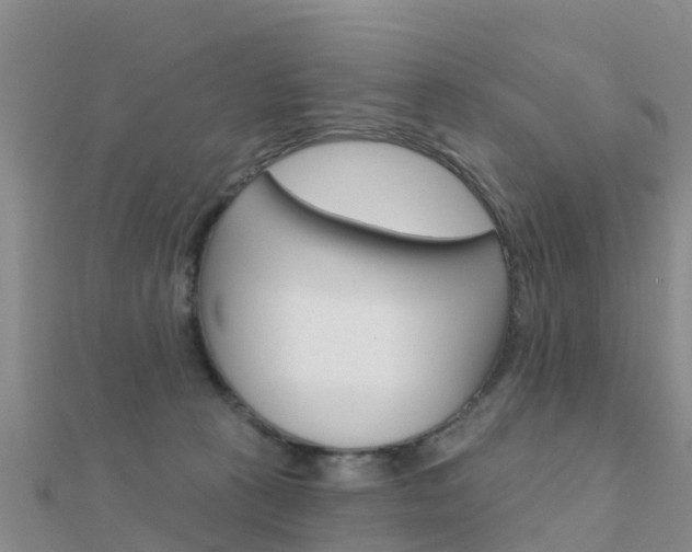 X0000112430273200908141118
