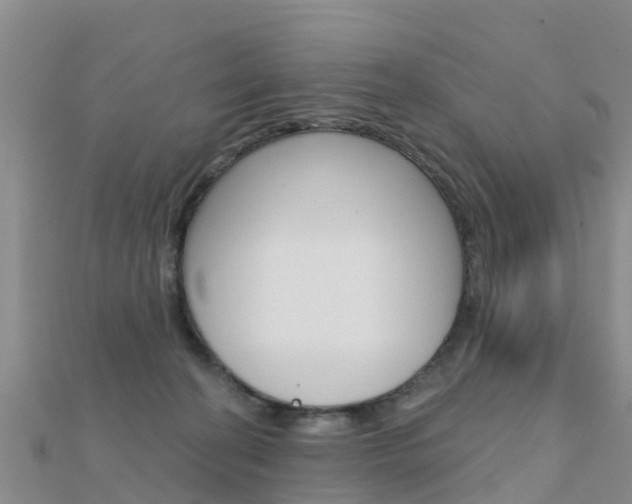 X0000112430274200908141118