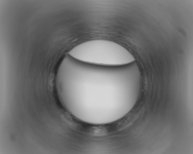 X0000112430275200908141118