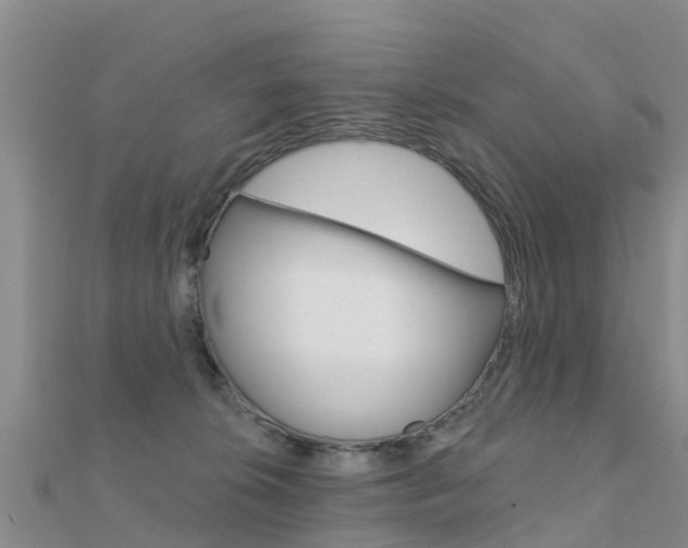 X0000112430276200908141118