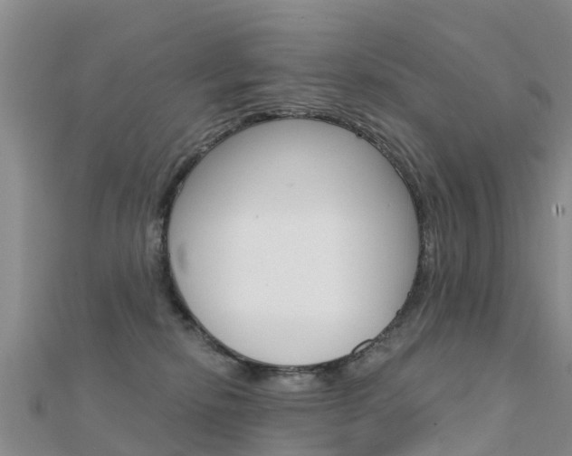 X0000112430278200908141118