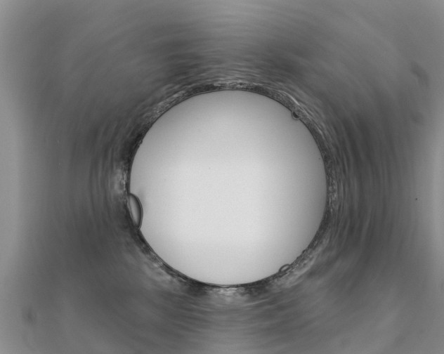 X0000112430281200908141118