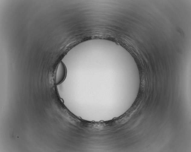 X0000112430282200908141118