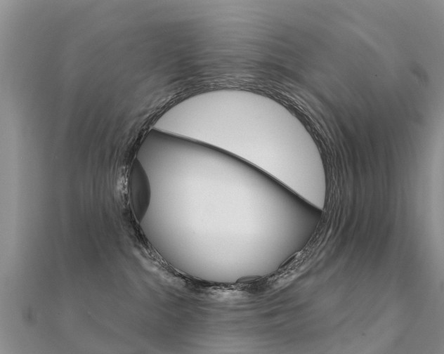 X0000112430284200908141118