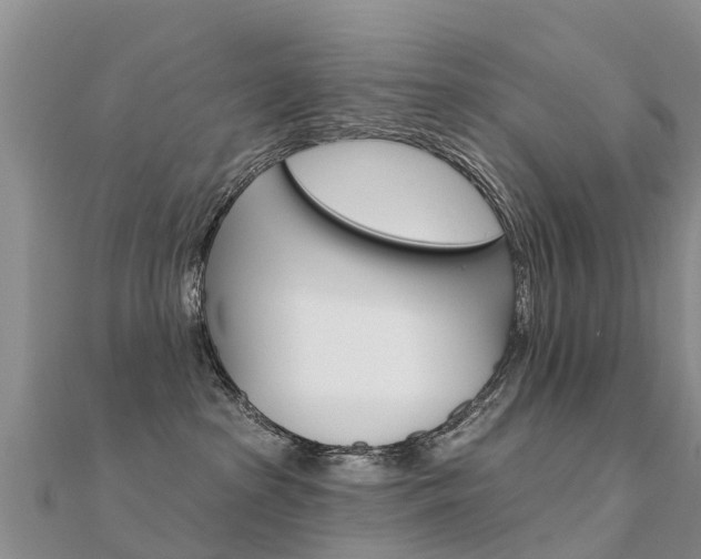 X0000112430285200908141118