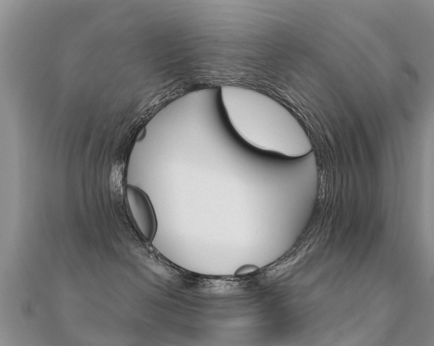 X0000112430286200908141118