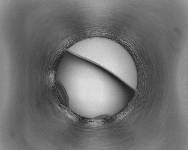 X0000112430288200908141118