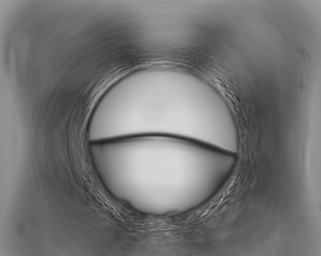 X0000112430289200908141118