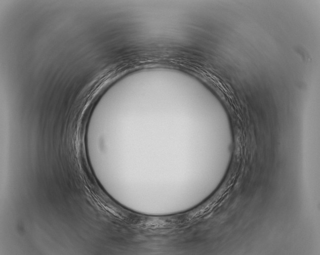 X0000112430290200908141118