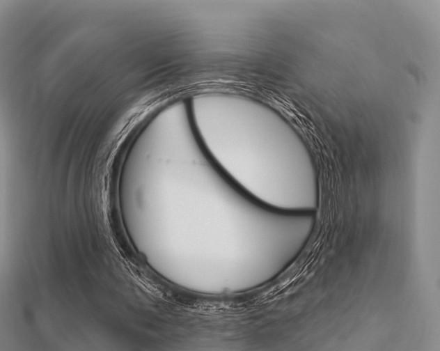 X0000112430291200908141118