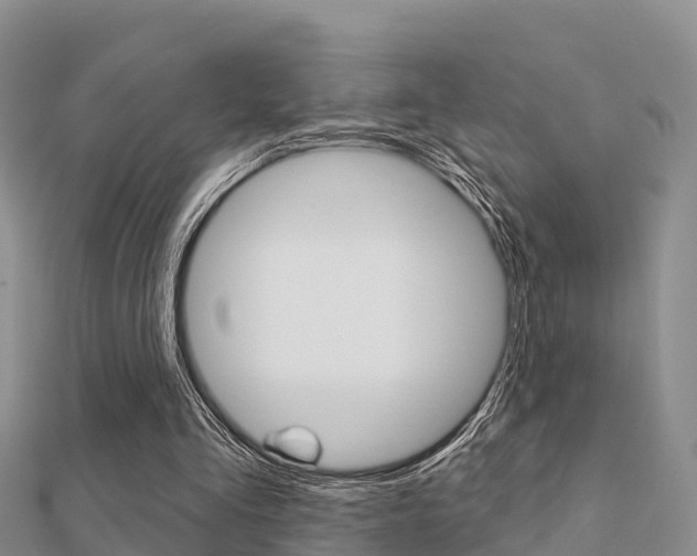 X0000112430293200908141117