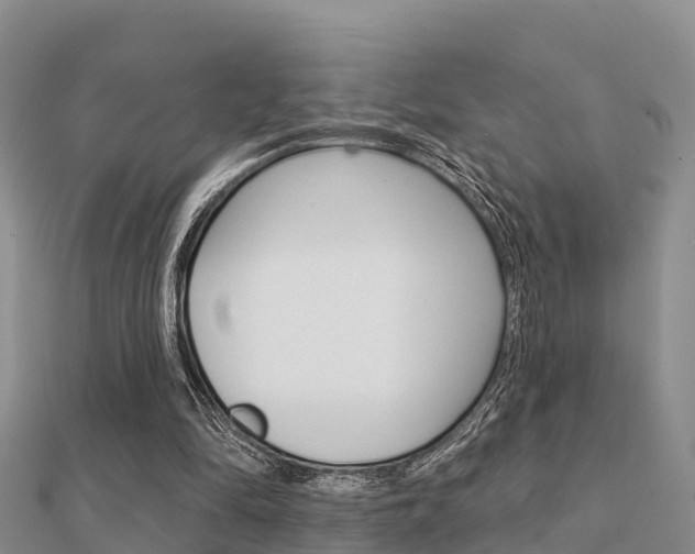 X0000112430294200908141117