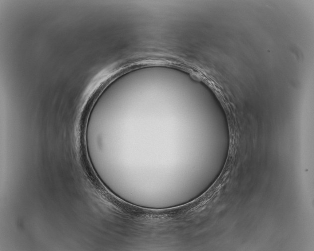 X0000112430296200908141117