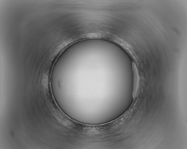 X0000112430297200908141117
