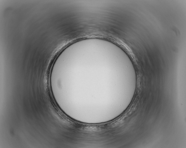 X0000112430298200908141117