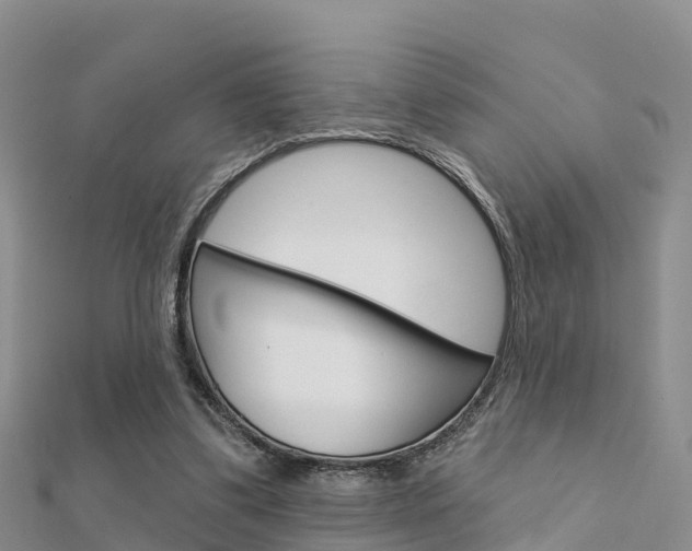 X0000112430299200908141117